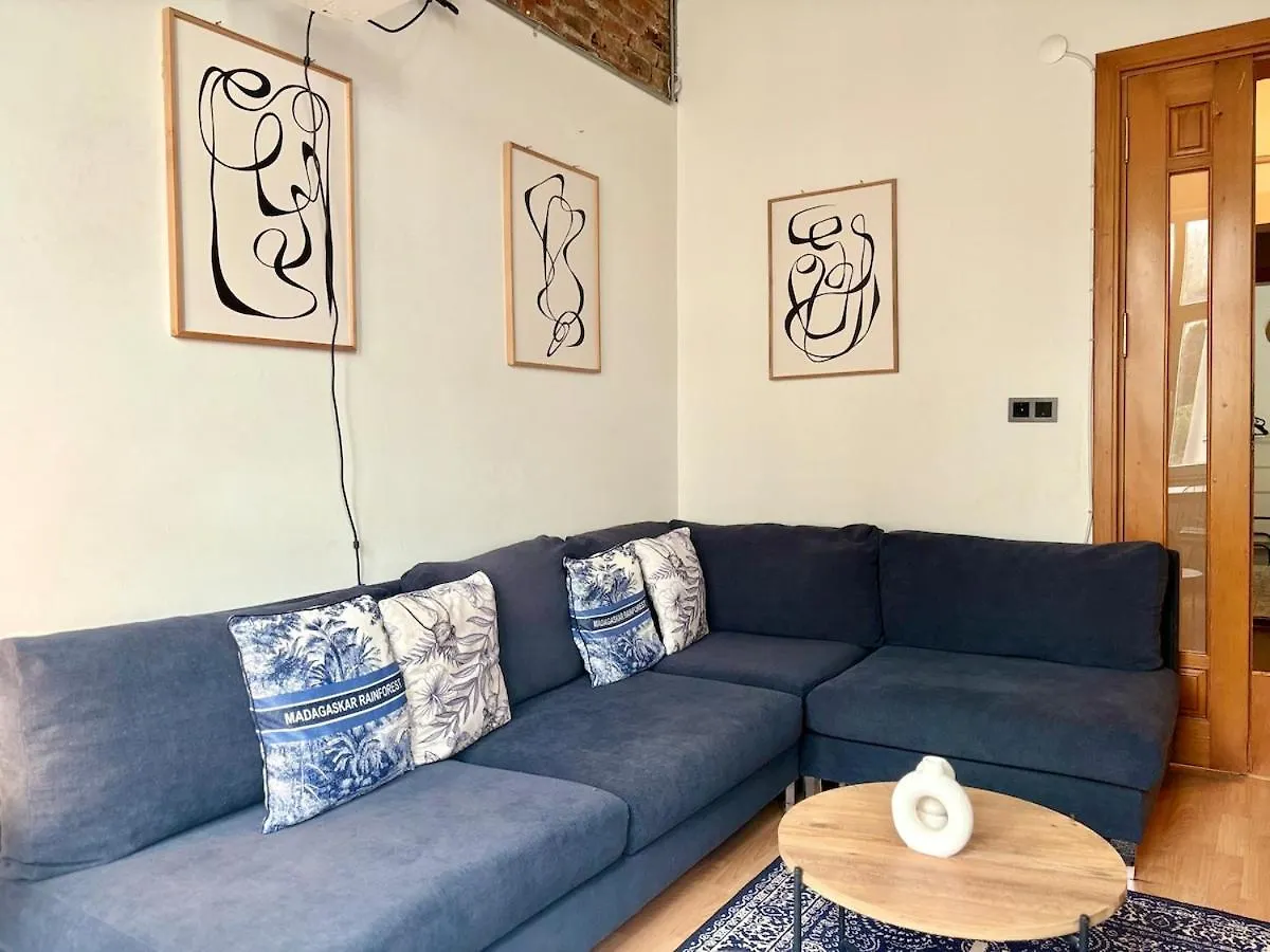 High Ceiling Central Cozy Apartment With 3 Bedroom Beyoglu Isztambul