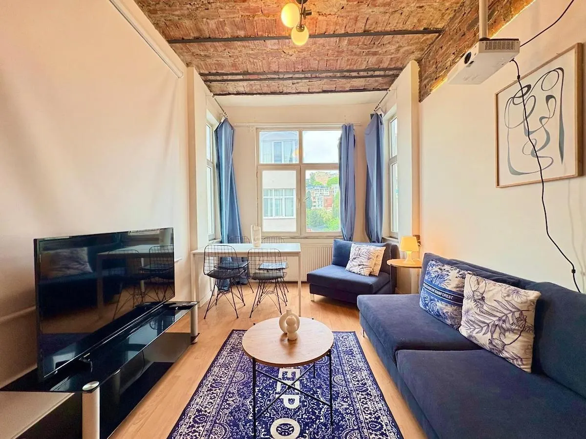 High Ceiling Central Cozy Apartment With 3 Bedroom Beyoglu Isztambul Törökország