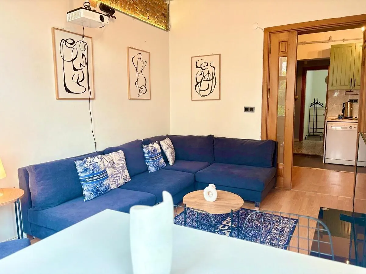 High Ceiling Central Cozy Apartment With 3 Bedroom Beyoglu Isztambul