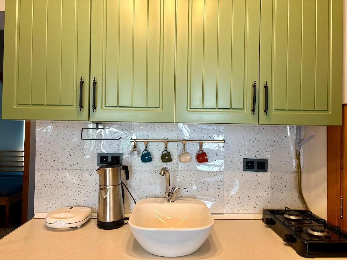 High Ceiling Central Cozy Apartment With 3 Bedroom Beyoglu Istanbul 0*,  Turkey