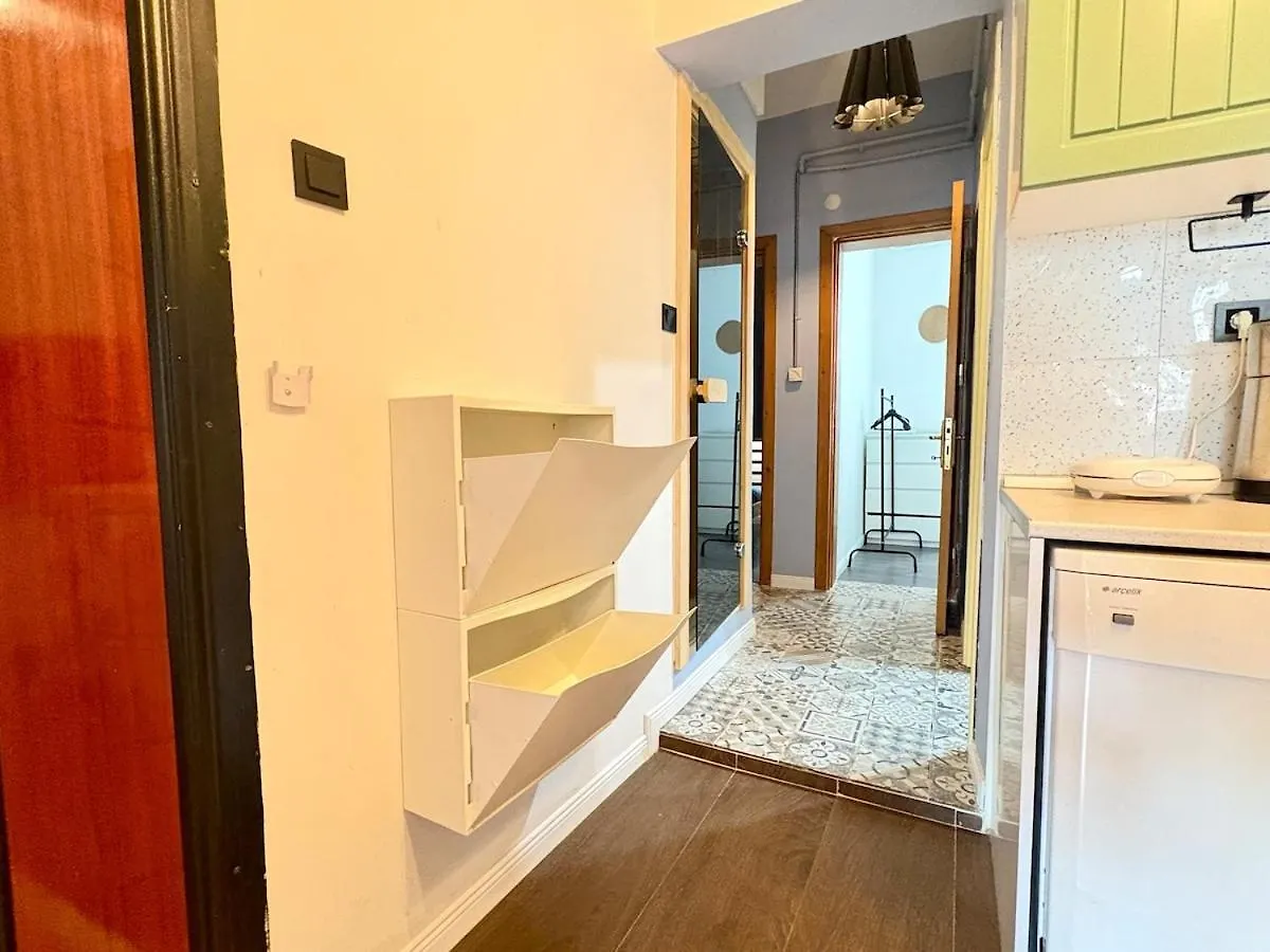 High Ceiling Central Cozy Apartment With 3 Bedroom Beyoglu Istanbul 0*,