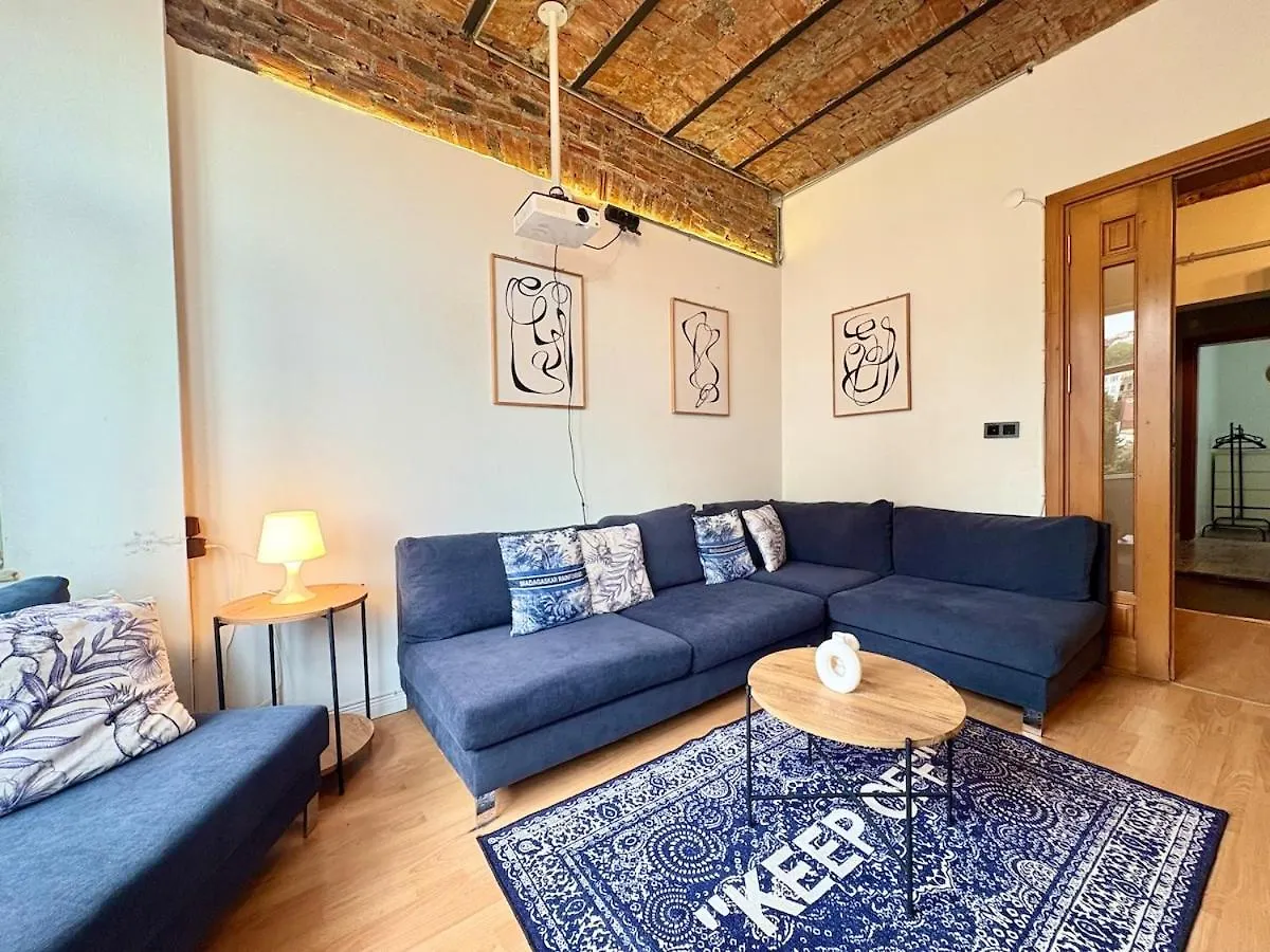 High Ceiling Central Cozy Apartment With 3 Bedroom Beyoglu Istanbul