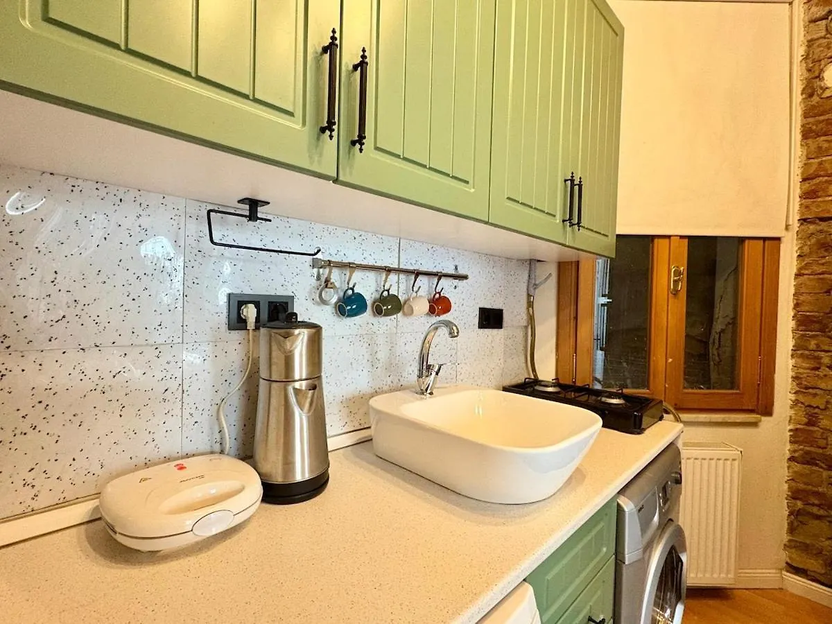 High Ceiling Central Cozy Apartment With 3 Bedroom Beyoglu Istanbul