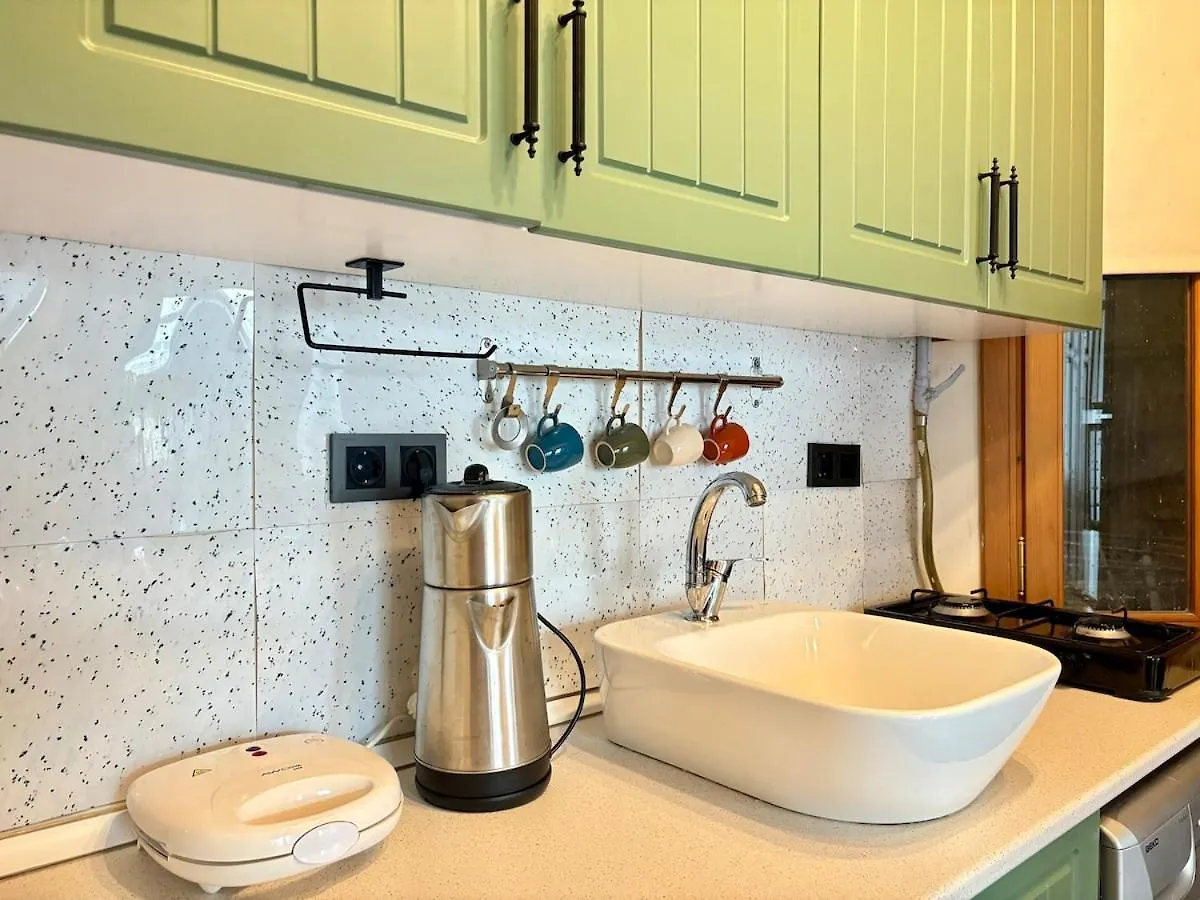 High Ceiling Central Cozy Apartment With 3 Bedroom Beyoglu Istanbul 0*,