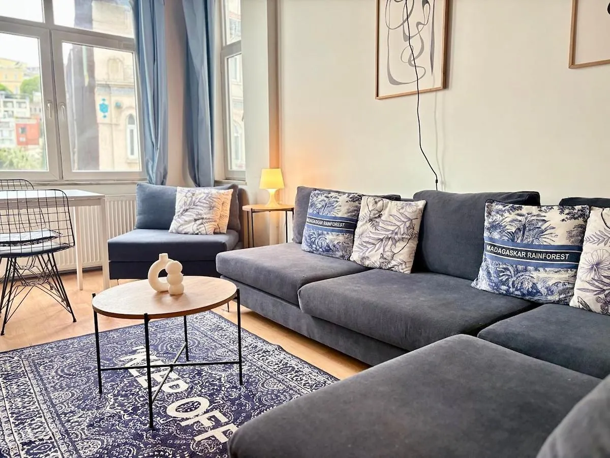 High Ceiling Central Cozy Apartment With 3 Bedroom Beyoglu Istanbul